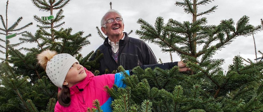 Family Christmas Trees