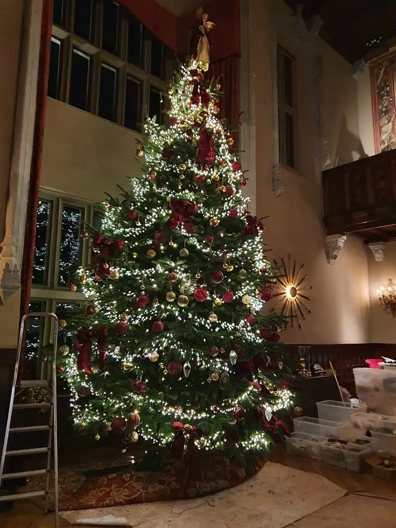 Large Decorated Christmas Tree